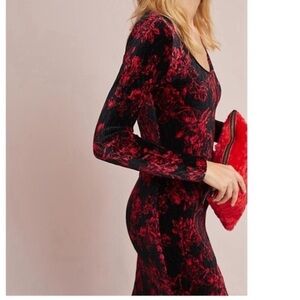HD in Paris Deirdre floral dress stunning Holiday winter velvet dress black Red
